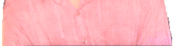 fximageb.gif (9168 bytes)